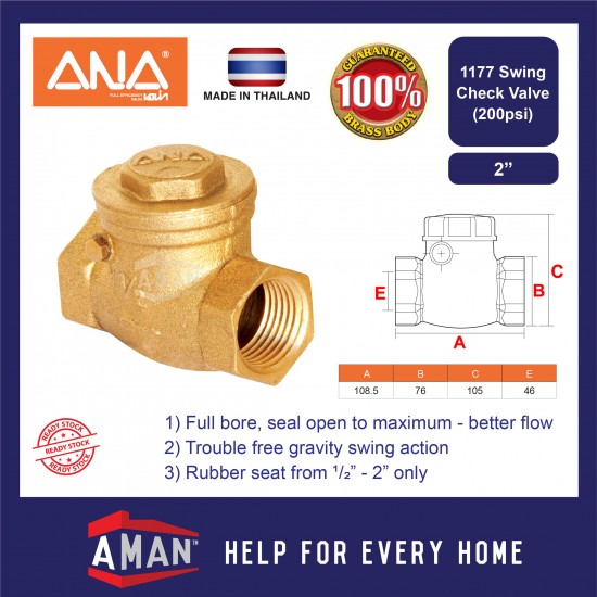 ANA Swing Check Valve 2"