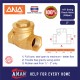 ANA Swing Check Valve 2"