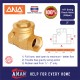 ANA Swing Check Valve 3"