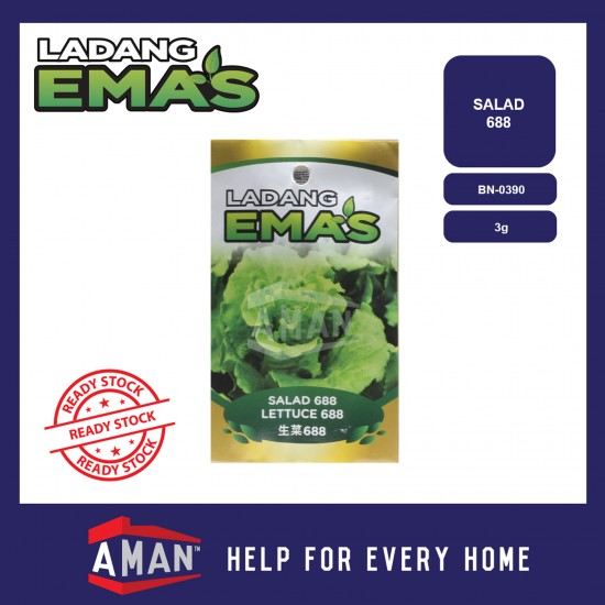 Ladang Emas Biji Benih Salad / Lettuce Seed
